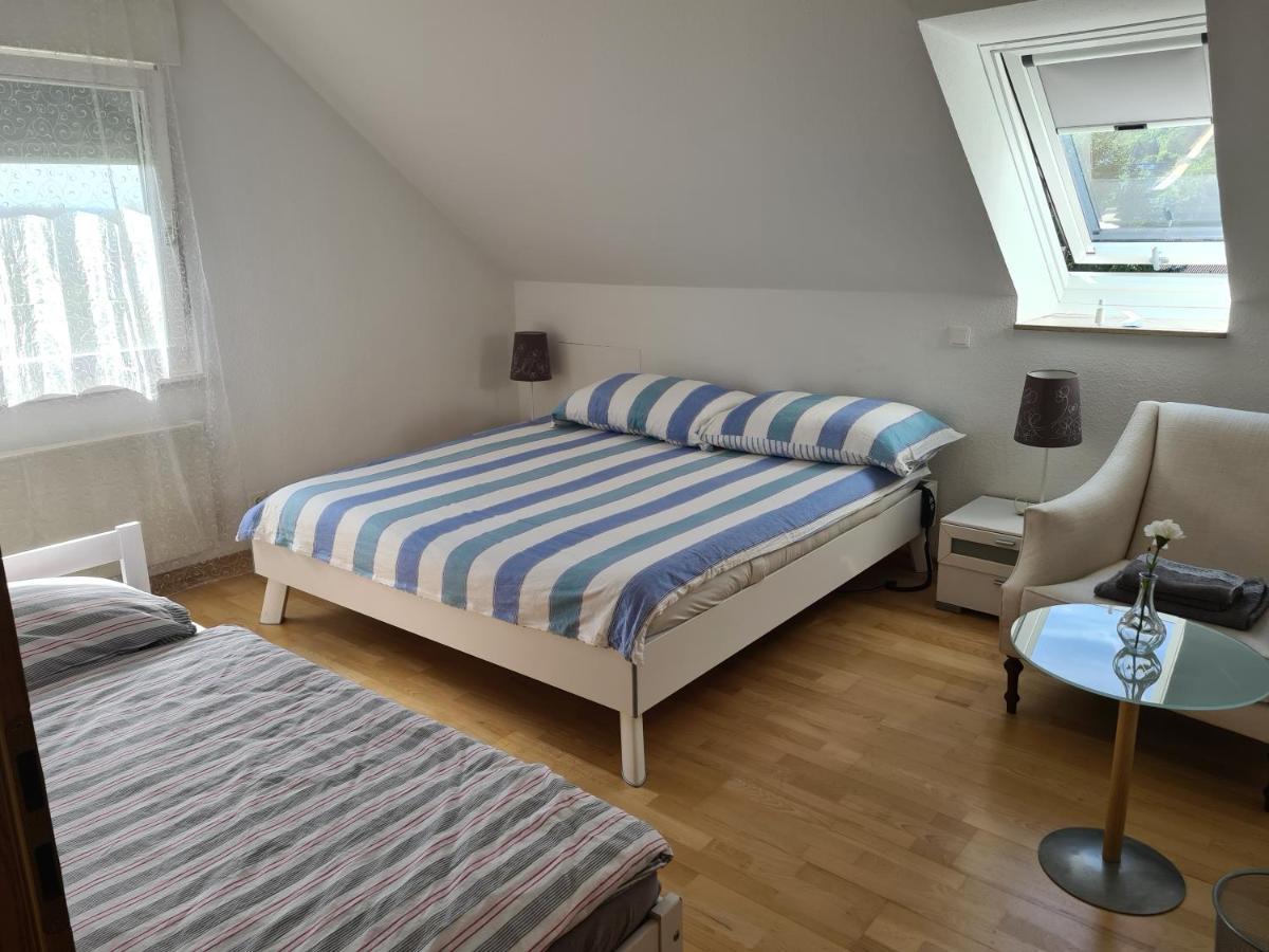 Appartement Paradiso Busingen am Hochrhein Eksteriør bilde