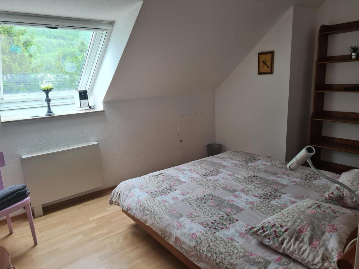 Appartement Paradiso Busingen am Hochrhein Eksteriør bilde